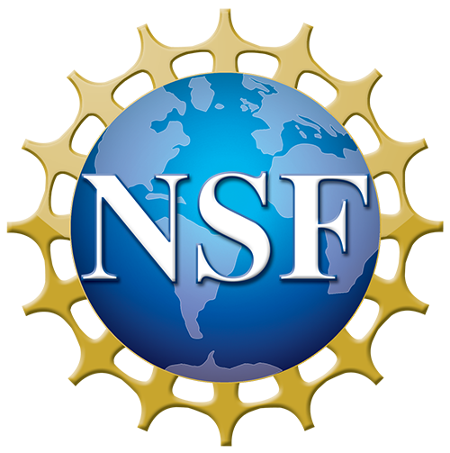 NSF Logo