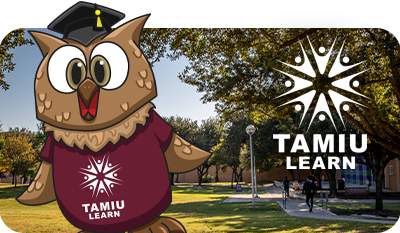 QEP Owl with TAMIU Learn Logo