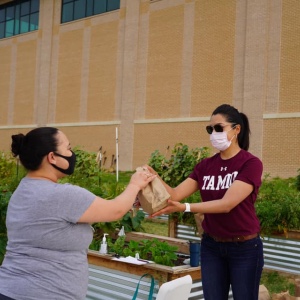 TAMIU Community Garden