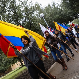 Parade of Flags