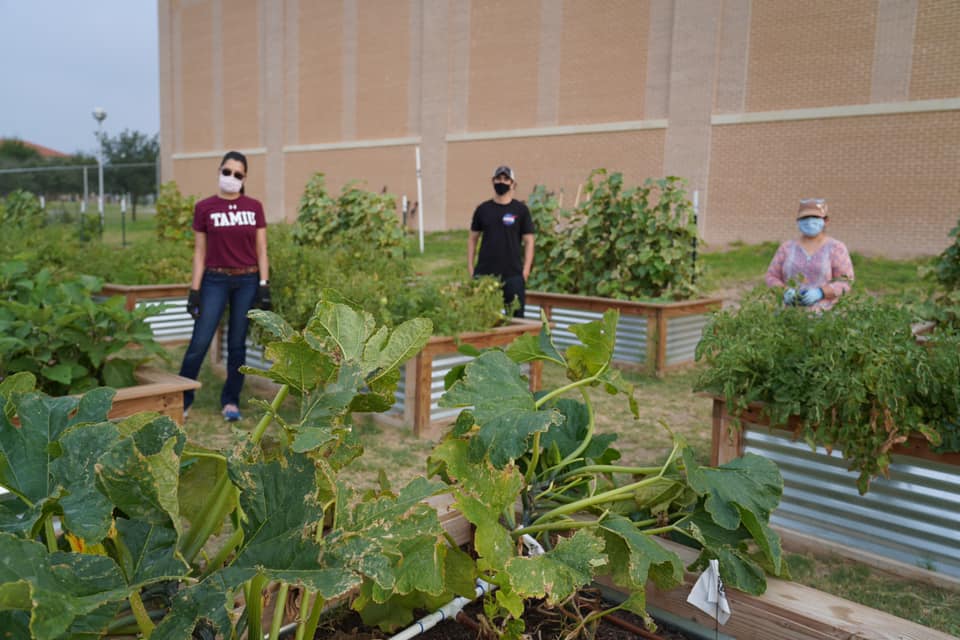 TAMIU Community Garden 2020