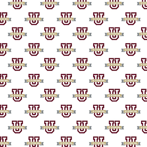 TAMIU Logo Background